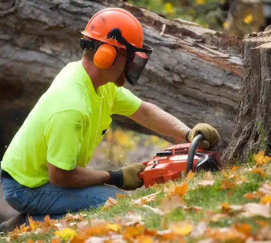 tree services North Tunica